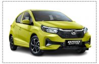 BRIO Satya